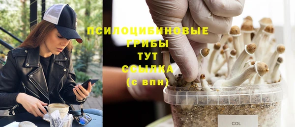 мяу мяу мука Богданович