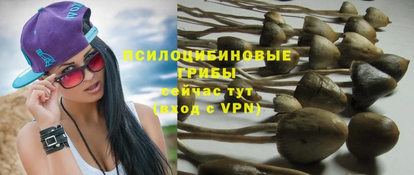 гашиш Богородск